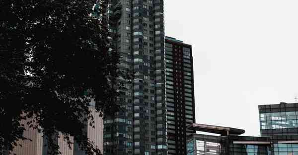 大数据影视软件