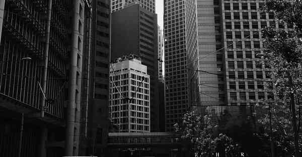 AI绘画特效关键字光遇