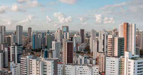 外国语单招大数据的行业文章