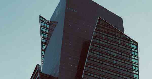 外国语单招大数据的行业文章