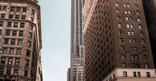 外国语单招大数据的行业文章