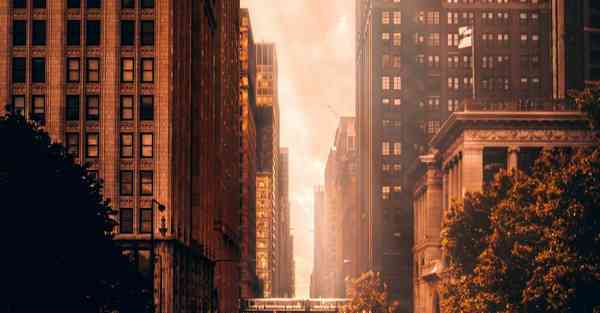 智能机器人摆球，自动摆球机器人多少钱