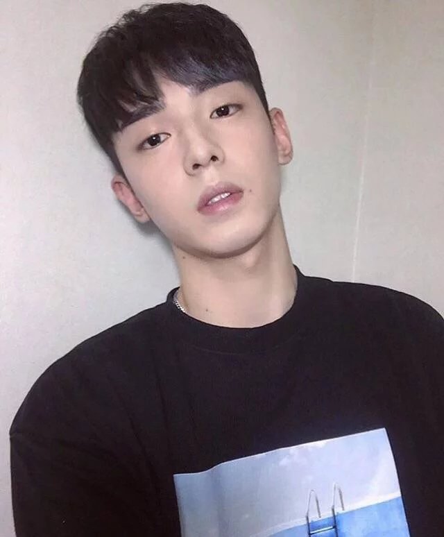 扶菁鸣羽