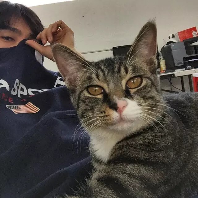 长孙姬苇学