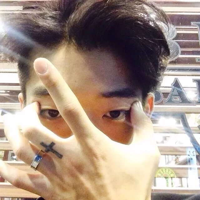 窦辰维武
