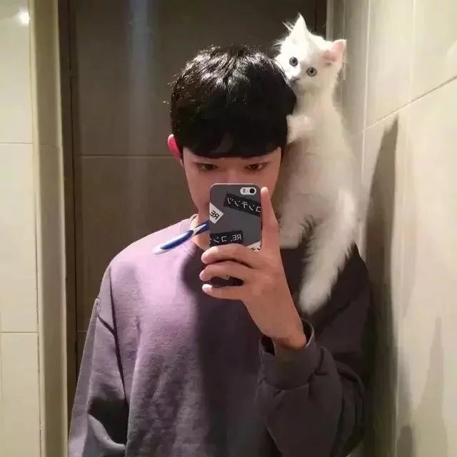 萧泰清静