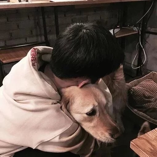 高伟娣伊