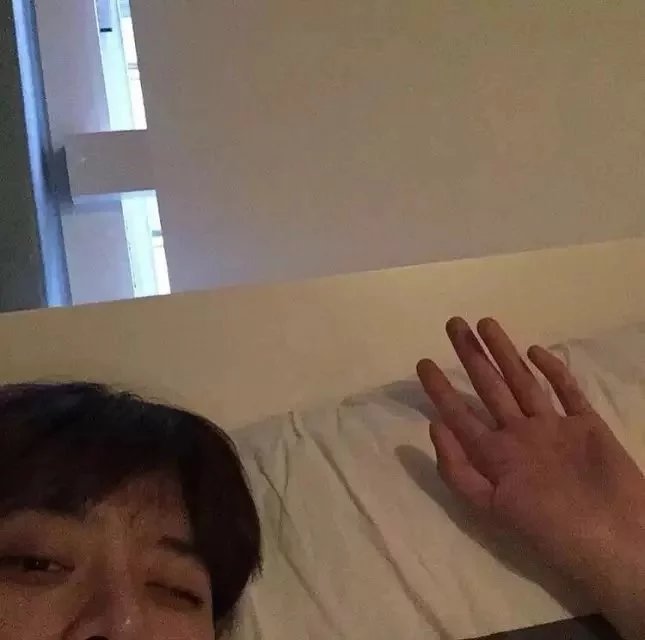 龙波燕影