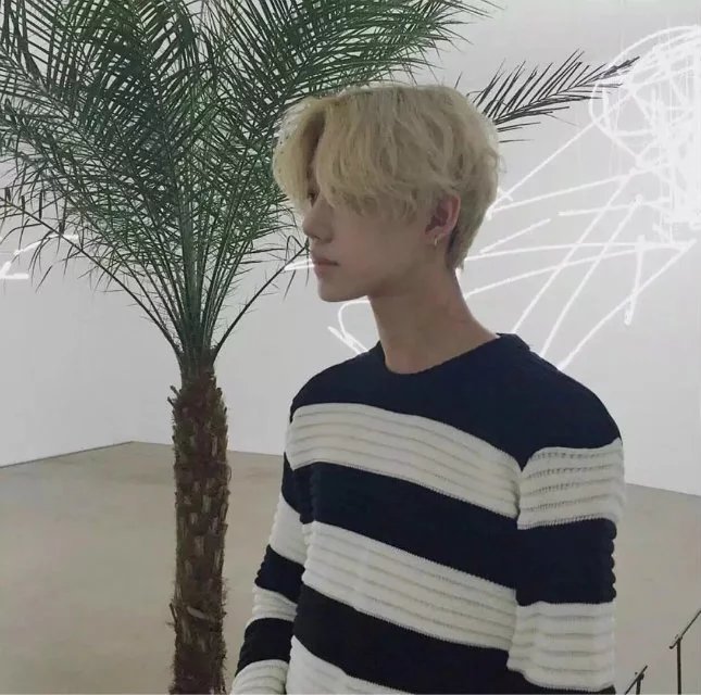 成康子芳